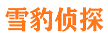 洮北市私家侦探